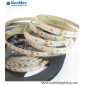 DC12V / DC24V 120LEDs / M 2835 SMD 22-24lm / LED Bande flexible LED